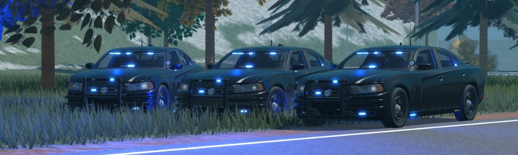 State Trooper cruisers lined up at dusk